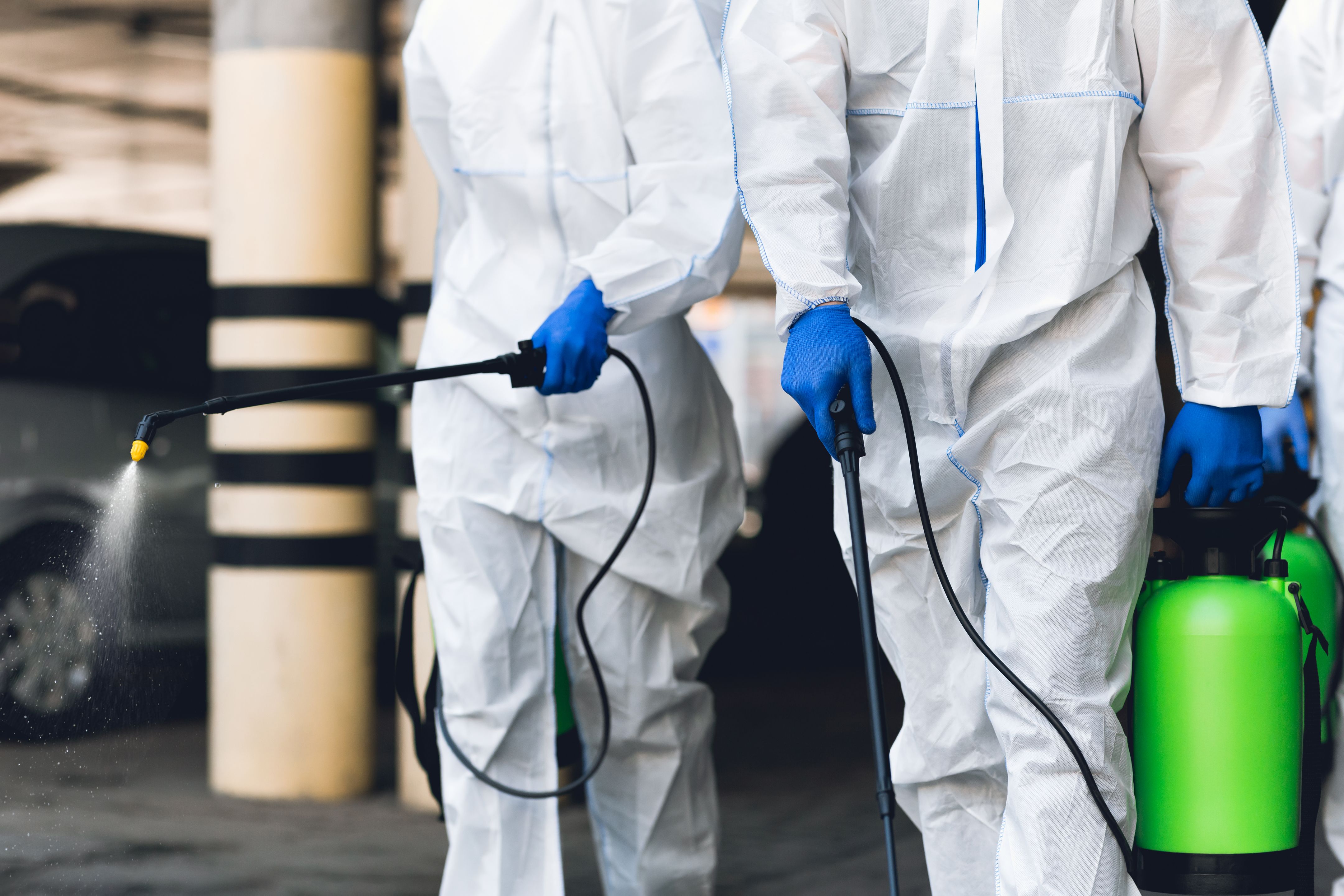 Find Cleaning Sanitizing Disinfecting